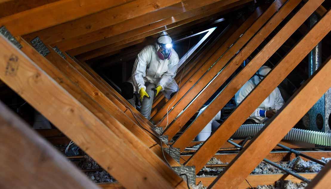 attic-clean-out-rodent-control-service