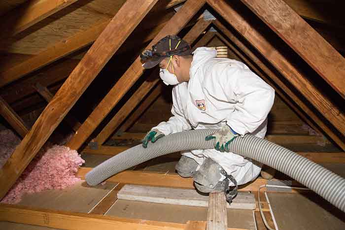 attic-insulation-removal-during